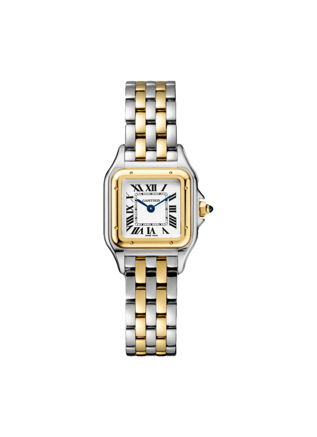 Cartier Panthere De Cartier Stainless Steel/Yellow Gold Small 22 x 30 mm W2PN0018