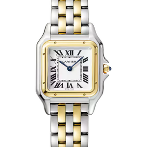 Cartier Panthere De Cartier Stainless Steel/Yellow Gold Medium 27 x 37 mm W2PN0019