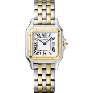 Cartier Panthere De Cartier Stainless Steel/Yellow Gold Medium 27 x 37 mm W2PN0019