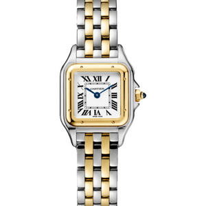 Cartier Panthere De Cartier Stainless Steel/Yellow Gold Small 22 x 30 mm W2PN0018