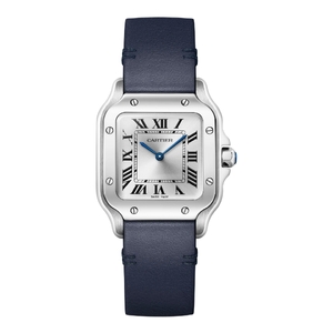 Cartier Santos De Cartier Small Quartz Silver Sunray Dial 27 x 34,5 mm WSSA0082