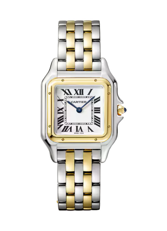 Cartier Panthere De Cartier Stainless Steel/Yellow Gold Medium 27 x 37 mm W2PN0019