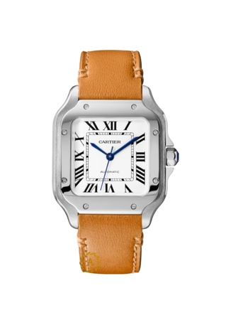 Cartier Santos De Cartier Medium Automatic Silver Opal Dial 41,9 x 35,1 mm WSSA0029