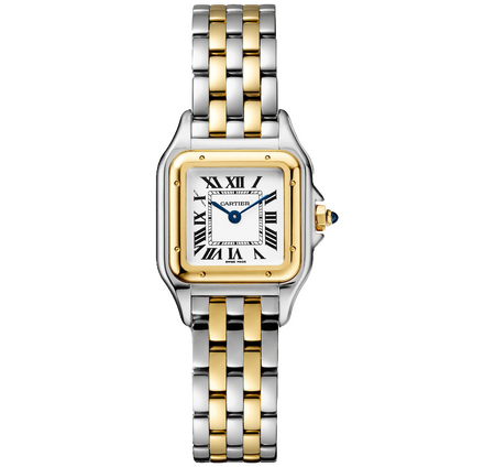 Cartier Panthere De Cartier Stainless Steel/Yellow Gold Small 22 x 30 mm W2PN0018