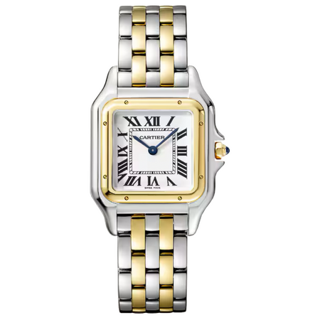 Cartier Panthere De Cartier Stainless Steel/Yellow Gold Medium 27 x 37 mm W2PN0019