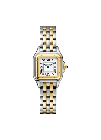Cartier Panthere De Cartier Stainless Steel/Yellow Gold Small 22 x 30 mm W2PN0018